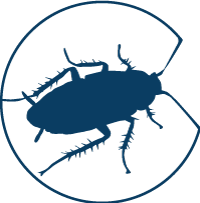 Désinsectisation professionnelle par nos experts de l’Agence 3D France Désinsectisation professionnelle par nos experts de l’Agence 3D France