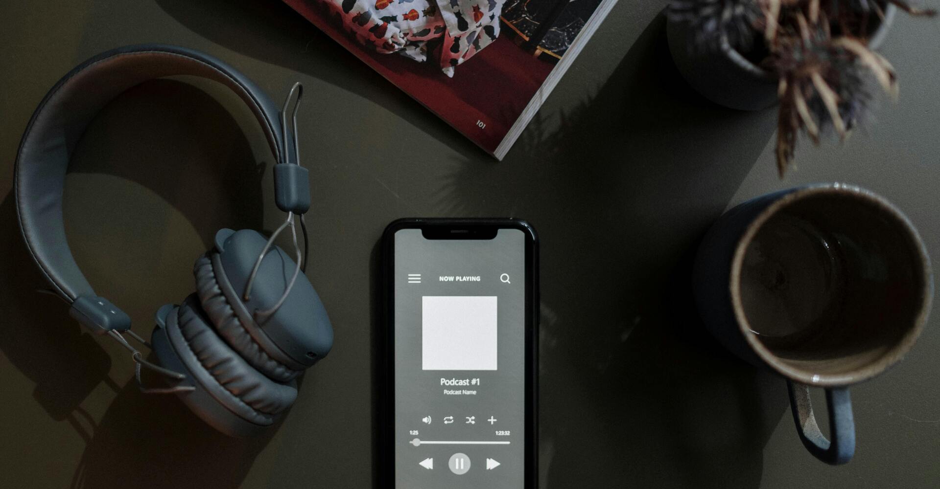  Interview sur Radio FRANCE BLEU  Punaises de lit : comment s'en débarrasser? Comment s'en protéger? 